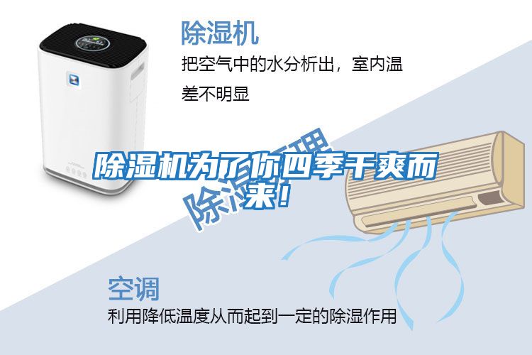 除濕機(jī)為了你四季干爽而來！