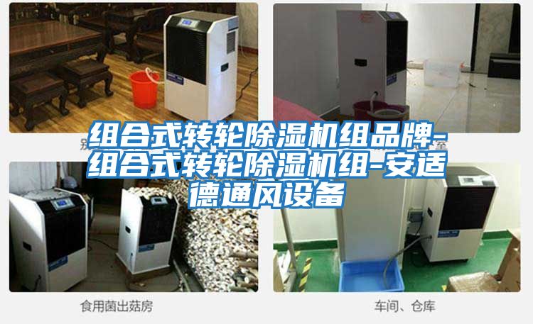 組合式轉輪除濕機組品牌-組合式轉輪除濕機組-安適德通風設備