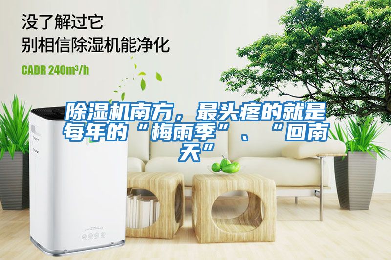 除濕機南方，最頭疼的就是每年的“梅雨季”、“回南天”
