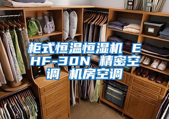 柜式恒溫恒濕機 EHF-30N 精密空調 機房空調