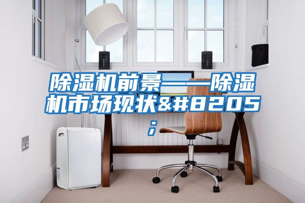 除濕機前景——除濕機市場現狀‍‍
