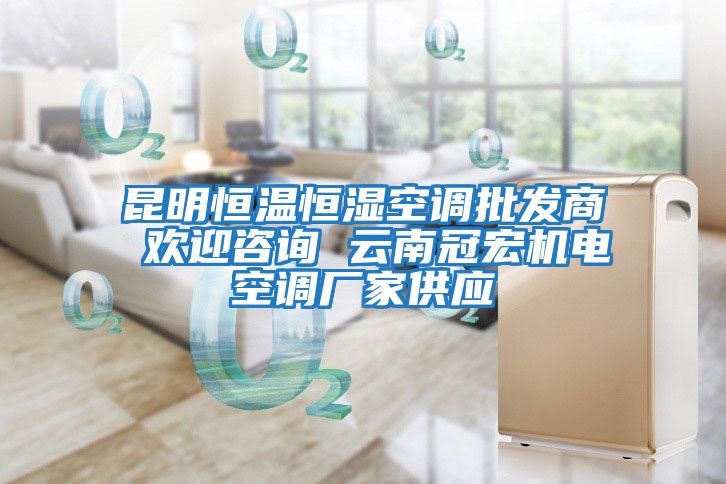 昆明恒溫恒濕空調批發商 歡迎咨詢 云南冠宏機電空調廠家供應