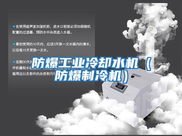防爆工業冷卻水機（防爆制冷機）