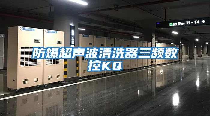 防爆超聲波清洗器三頻數控KQ