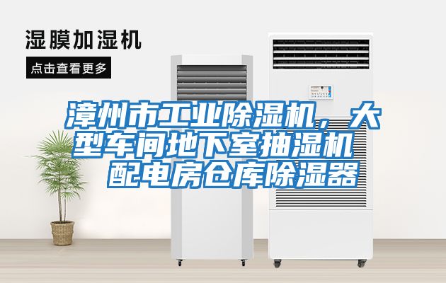 漳州市工業(yè)除濕機，大型車間地下室抽濕機  配電房倉庫除濕器