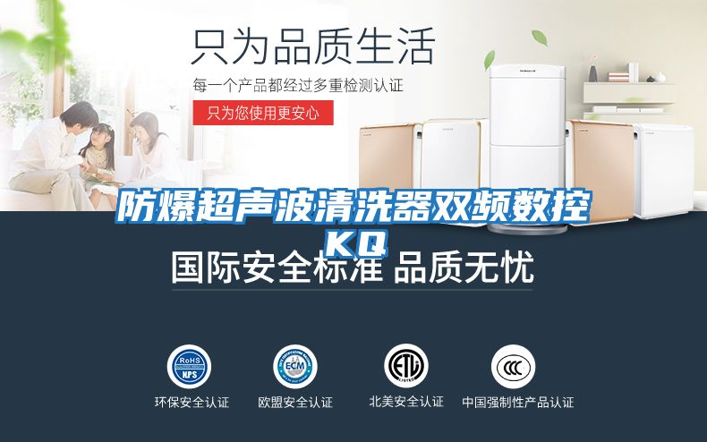 防爆超聲波清洗器雙頻數控KQ