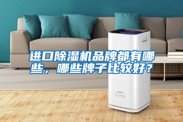 進口除濕機品牌都有哪些，哪些牌子比較好？