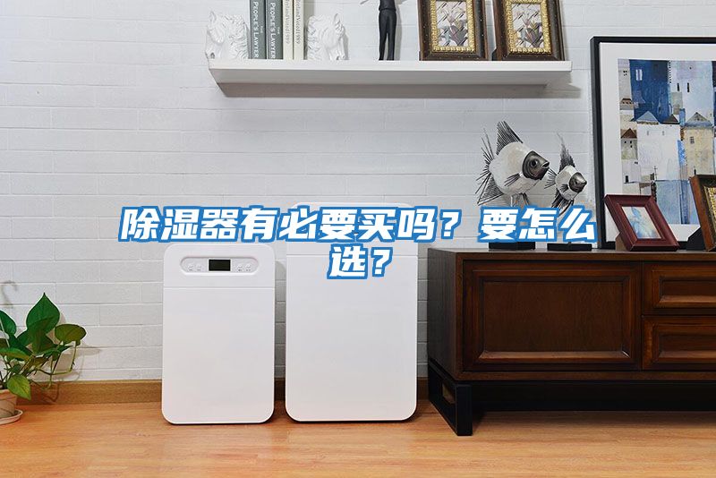 除濕器有必要買嗎？要怎么選？