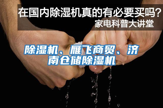 除濕機、雁飛商貿、濟南倉儲除濕機