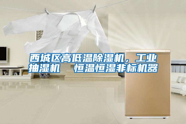 西城區高低溫除濕機，工業抽濕機  恒溫恒濕非標機器