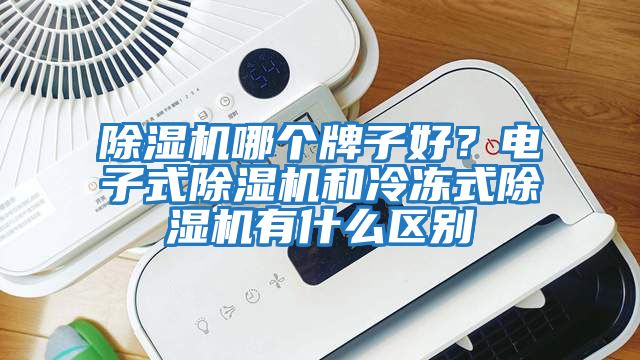 除濕機(jī)哪個牌子好？電子式除濕機(jī)和冷凍式除濕機(jī)有什么區(qū)別