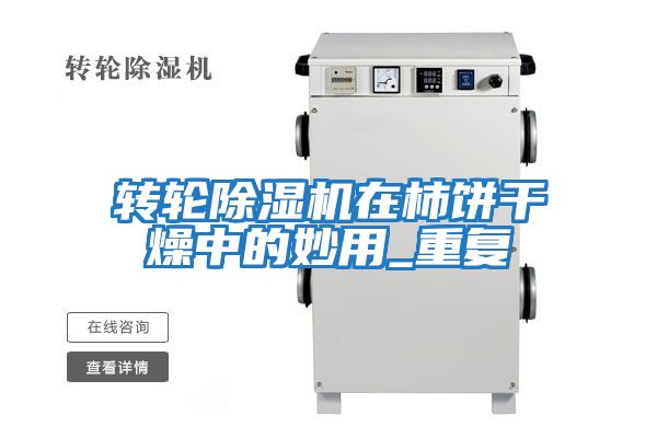 轉輪除濕機在柿餅干燥中的妙用_重復