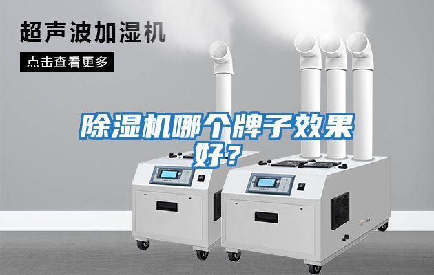 除濕機哪個牌子效果好？