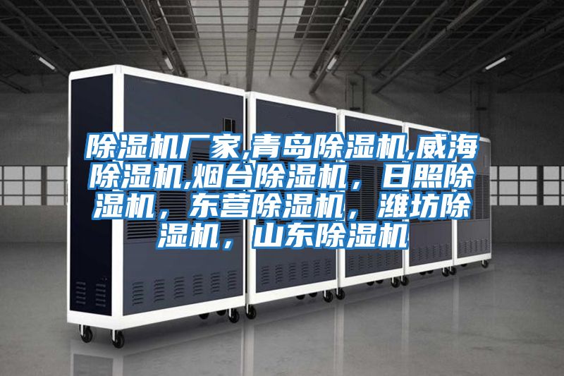 除濕機(jī)廠家,青島除濕機(jī),威海除濕機(jī),煙臺(tái)除濕機(jī)，日照除濕機(jī)，東營除濕機(jī)，濰坊除濕機(jī)，山東除濕機(jī)