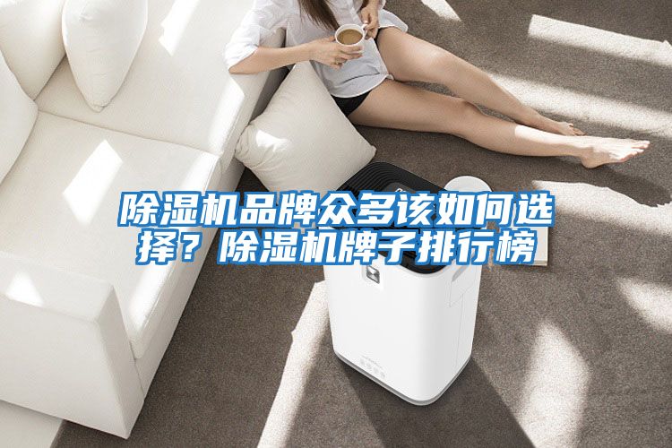 除濕機(jī)品牌眾多該如何選擇？除濕機(jī)牌子排行榜