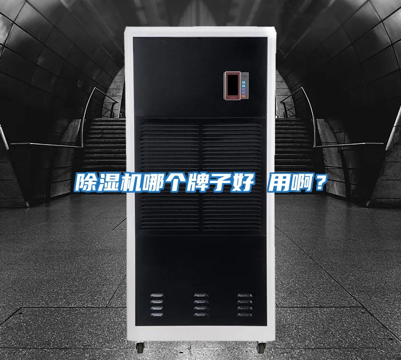除濕機哪個牌子好 用啊？