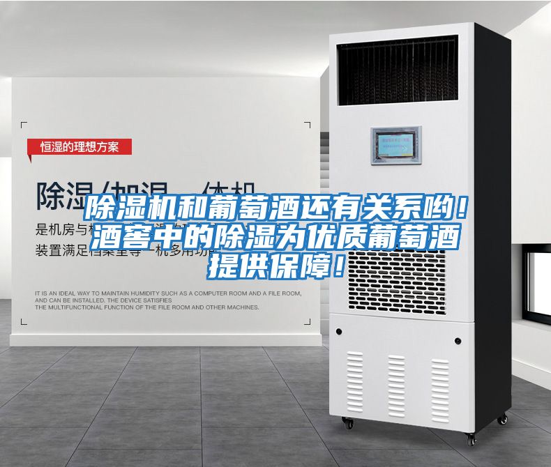 除濕機和葡萄酒還有關系喲！酒窖中的除濕為優(yōu)質葡萄酒提供保障！