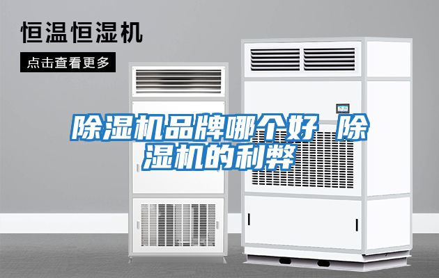 除濕機品牌哪個好 除濕機的利弊