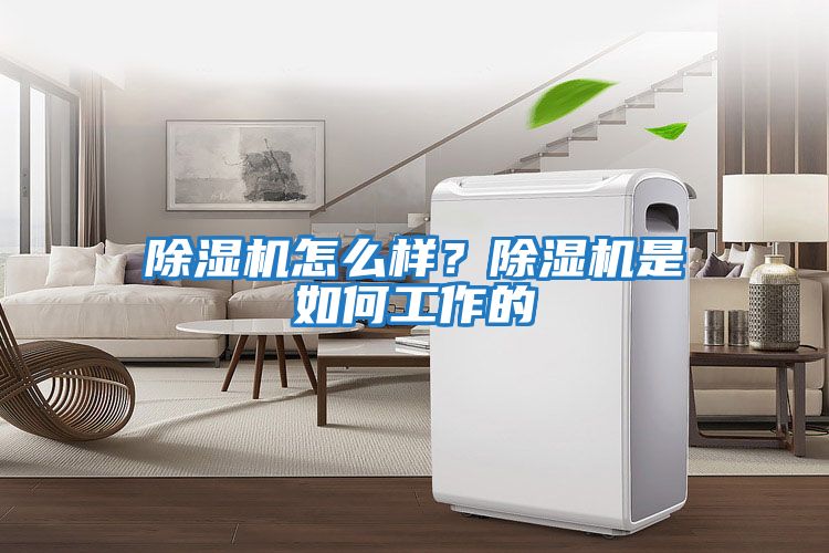 除濕機怎么樣？除濕機是如何工作的
