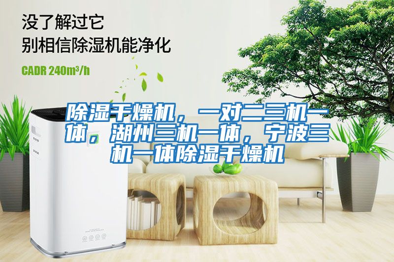 除濕干燥機(jī)，一對(duì)二三機(jī)一體，湖州三機(jī)一體，寧波三機(jī)一體除濕干燥機(jī)
