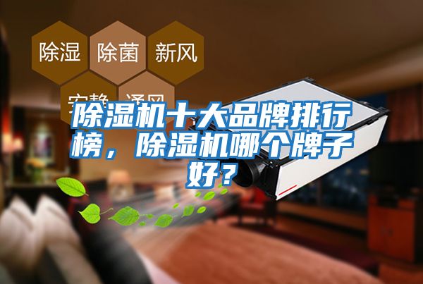 除濕機十大品牌排行榜，除濕機哪個牌子好？