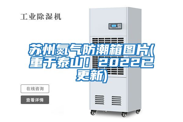 蘇州氮氣防潮箱圖片(重于泰山！2022已更新)