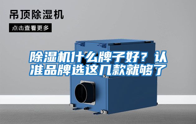 除濕機什么牌子好？認準品牌選這幾款就夠了