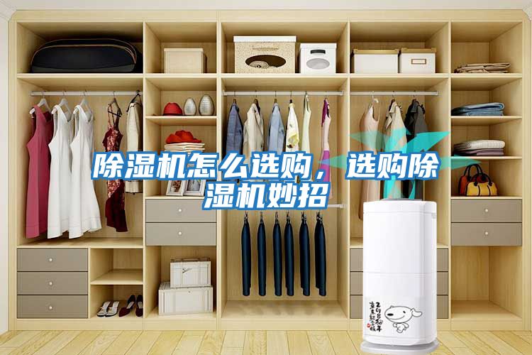 除濕機怎么選購，選購除濕機妙招