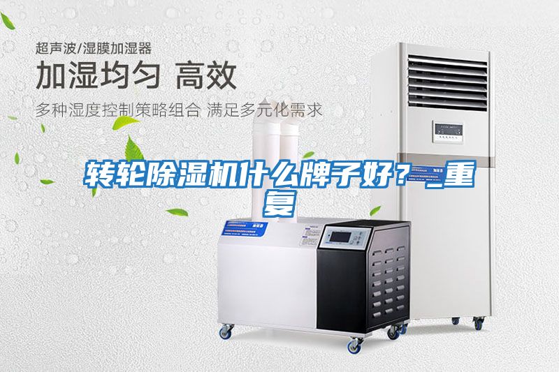 轉輪除濕機什么牌子好？_重復