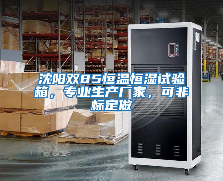 沈陽雙85恒溫恒濕試驗箱，專業(yè)生產廠家，可非標定做