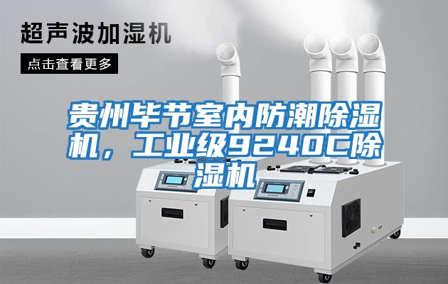 貴州畢節室內防潮除濕機，工業級9240C除濕機