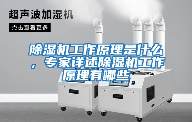 除濕機工作原理是什么，專家詳述除濕機工作原理有哪些