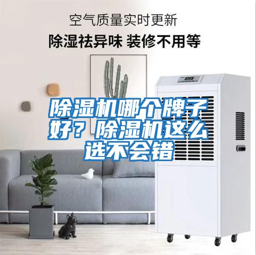 除濕機哪個牌子好？除濕機這么選不會錯