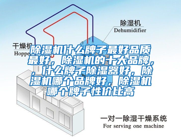 除濕機什么牌子最好品質最好，除濕機的十大品牌，，什么牌子除濕器好，除濕機哪個品牌好，除濕機哪個牌子性價比高