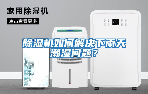 除濕機如何解決下雨天潮濕問題？