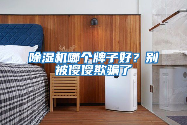 除濕機(jī)哪個牌子好？別被傻傻欺騙了