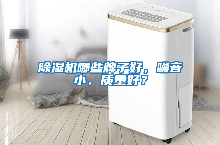 除濕機哪些牌子好，噪音小，質量好？