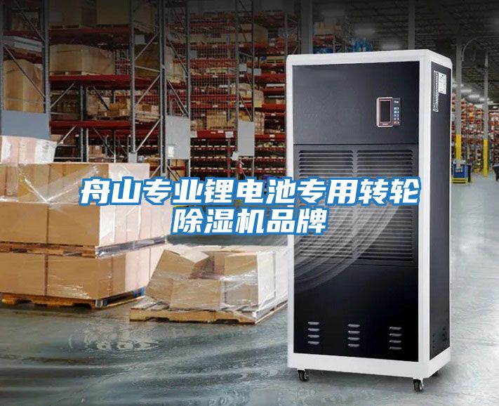 舟山專業鋰電池專用轉輪除濕機品牌