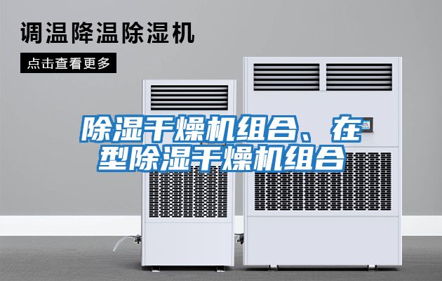 除濕干燥機組合、在型除濕干燥機組合