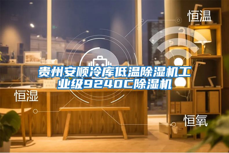 貴州安順冷庫低溫除濕機工業級9240C除濕機
