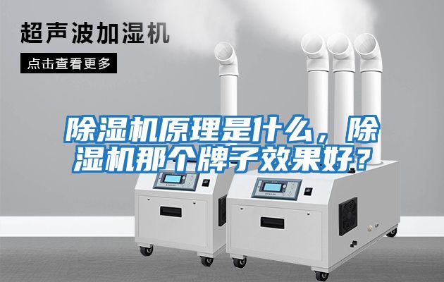 除濕機原理是什么，除濕機那個牌子效果好？