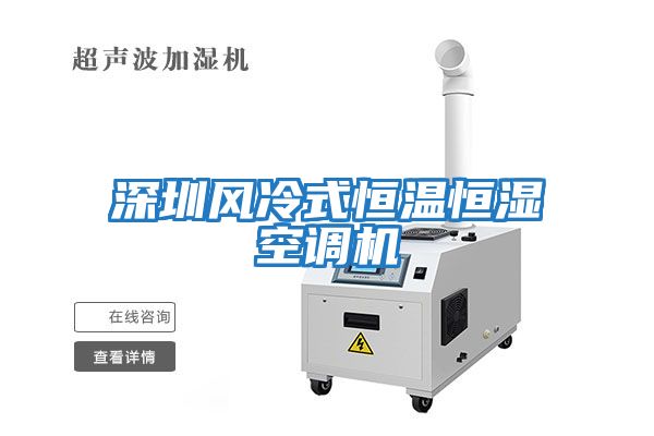 深圳風冷式恒溫恒濕空調機