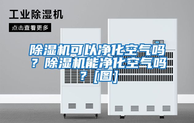除濕機可以凈化空氣嗎？除濕機能凈化空氣嗎？[圖]