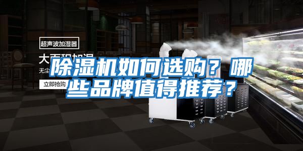除濕機如何選購？哪些品牌值得推薦？