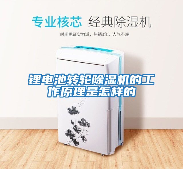 鋰電池轉輪除濕機的工作原理是怎樣的