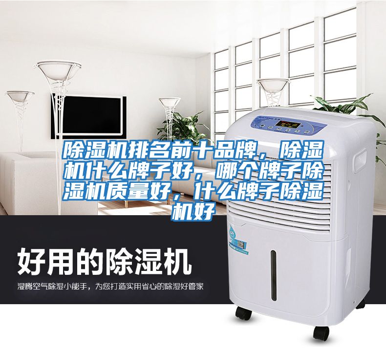 除濕機排名前十品牌，除濕機什么牌子好，哪個牌子除濕機質量好，什么牌子除濕機好