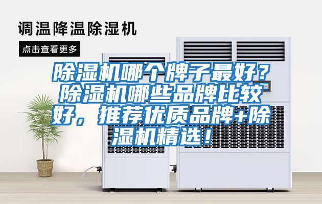 除濕機哪個牌子最好？除濕機哪些品牌比較好，推薦優質品牌+除濕機精選！