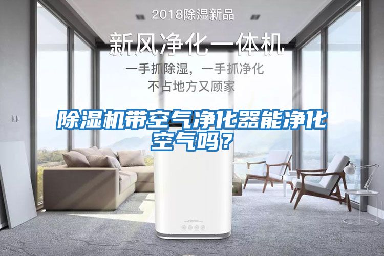 除濕機帶空氣凈化器能凈化空氣嗎？