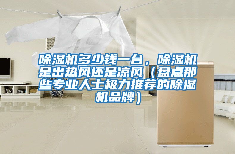 除濕機多少錢一臺，除濕機是出熱風還是涼風（盤點那些專業(yè)人士極力推薦的除濕機品牌）