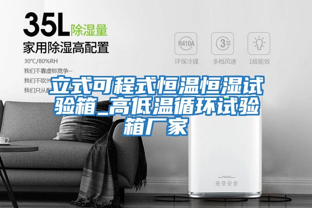 立式可程式恒溫恒濕試驗箱_高低溫循環試驗箱廠家